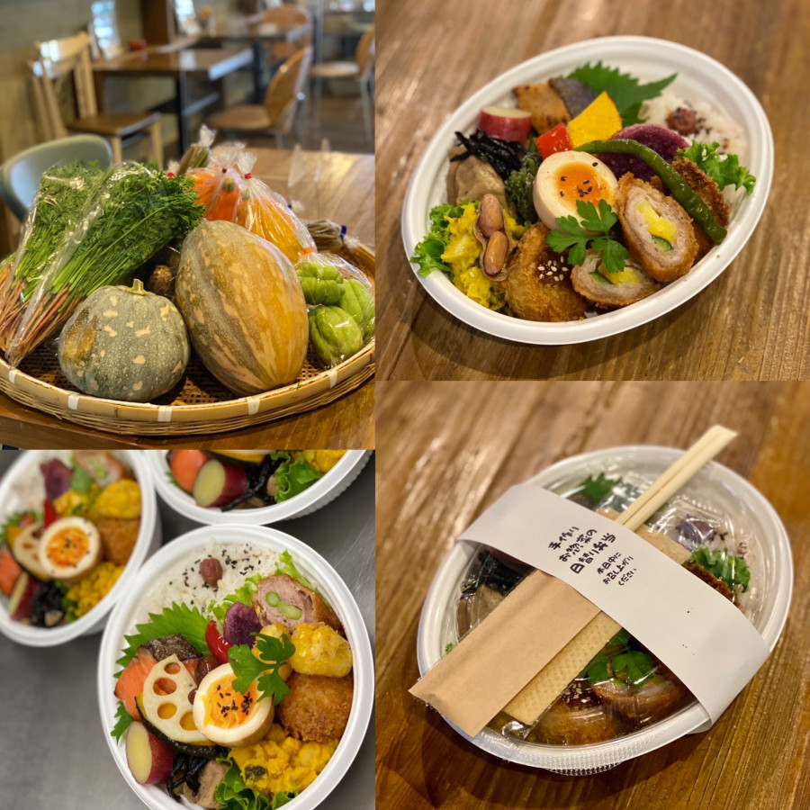 豆豆菜菜の日替わり弁当の一例